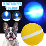 Active Jump Ball Dog Toy