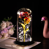 Enchanted Forever Rose Flower in Glass LED Light Christmas Decoration