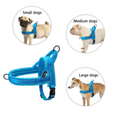 Premium  Pet /Dog Harnesses