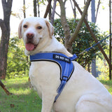 Custom Breathable Harness Vest for Dog with Reflective Strip and Metal Buckle