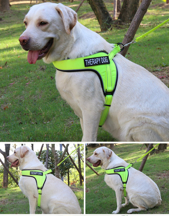 Custom Breathable Harness Vest for Dog with Reflective Strip and Metal Buckle