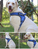 Custom Breathable Harness Vest for Dog with Reflective Strip and Metal Buckle