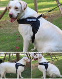 Custom Breathable Harness Vest for Dog with Reflective Strip and Metal Buckle