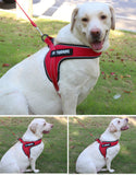 Custom Breathable Harness Vest for Dog with Reflective Strip and Metal Buckle