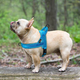 Premium  Pet /Dog Harnesses