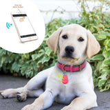 Pet Smart GPS Tracker Anti-Lost Waterproof Bluetooth Locator Tracer Pet Collar Accessories