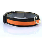 LED Pet Collar